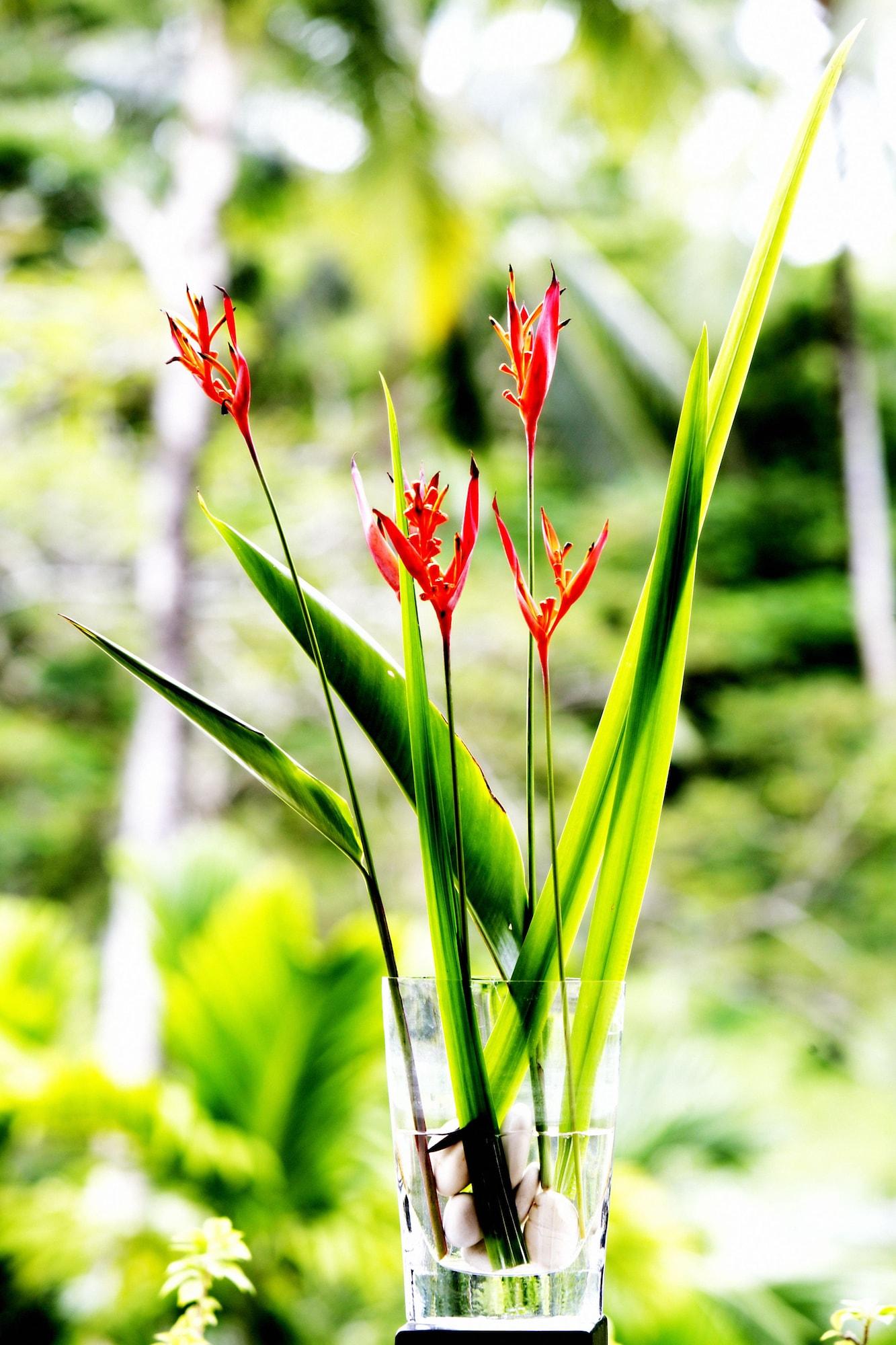 The Pearl South Pacific Resort, Spa & Golf Course Pacific Harbour Eksteriør bilde